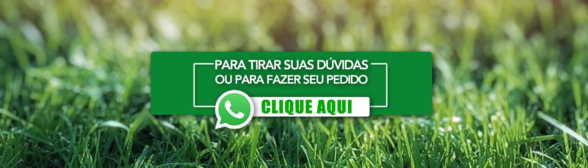 pedido